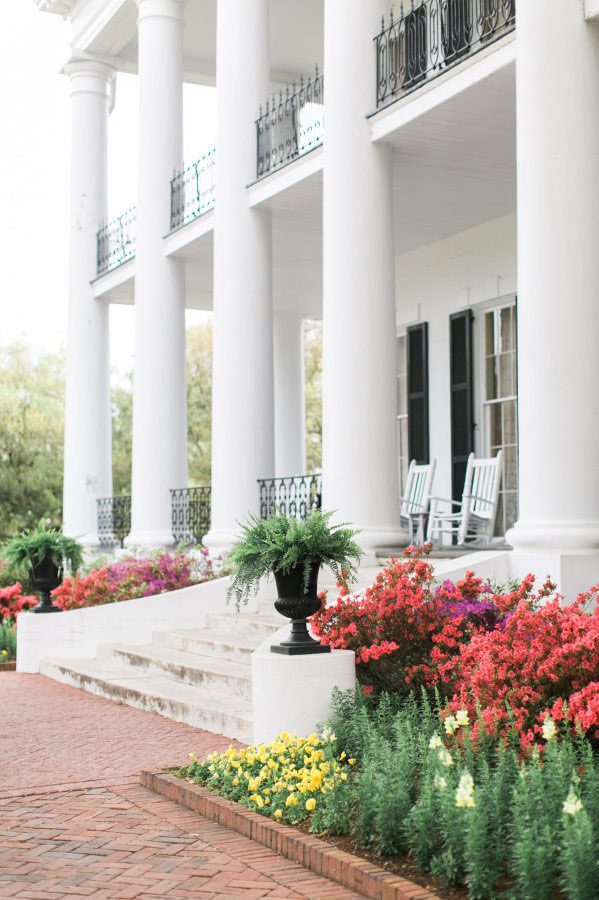 front of house azaleas 49557257882 o