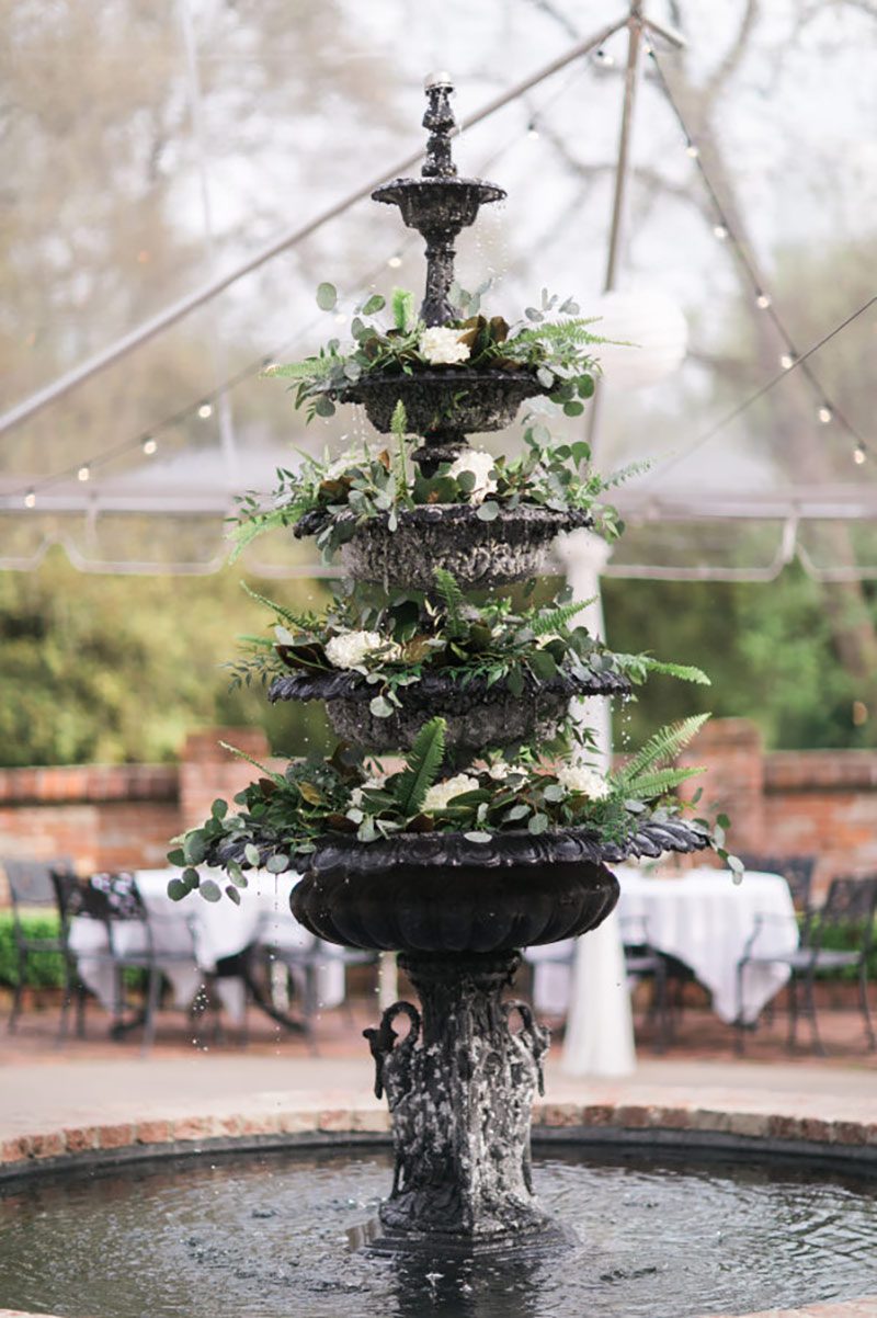 greenery in fountain 49556524808 o