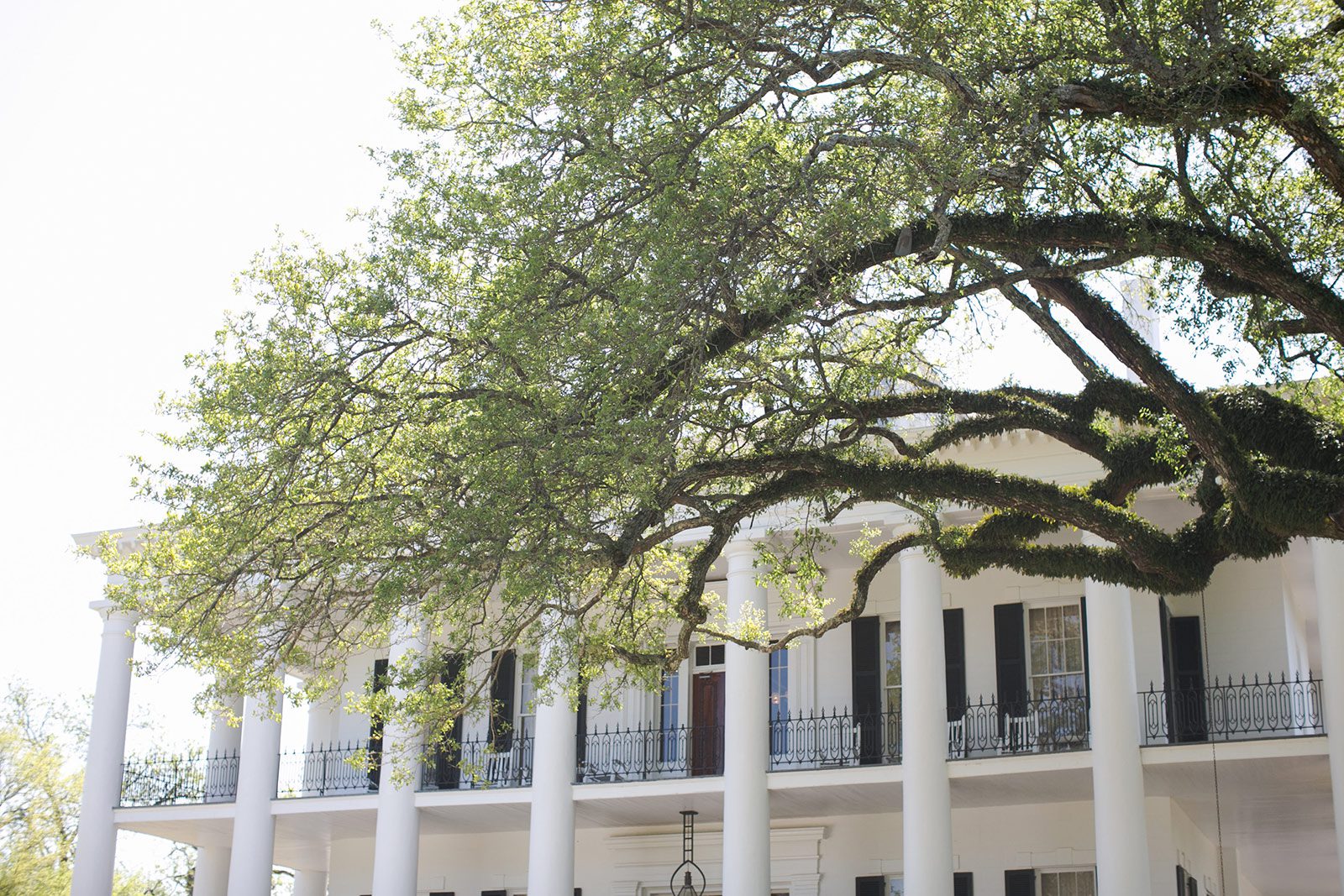 view more httpcarolinejoypassusnicole abhay 49556981076 o