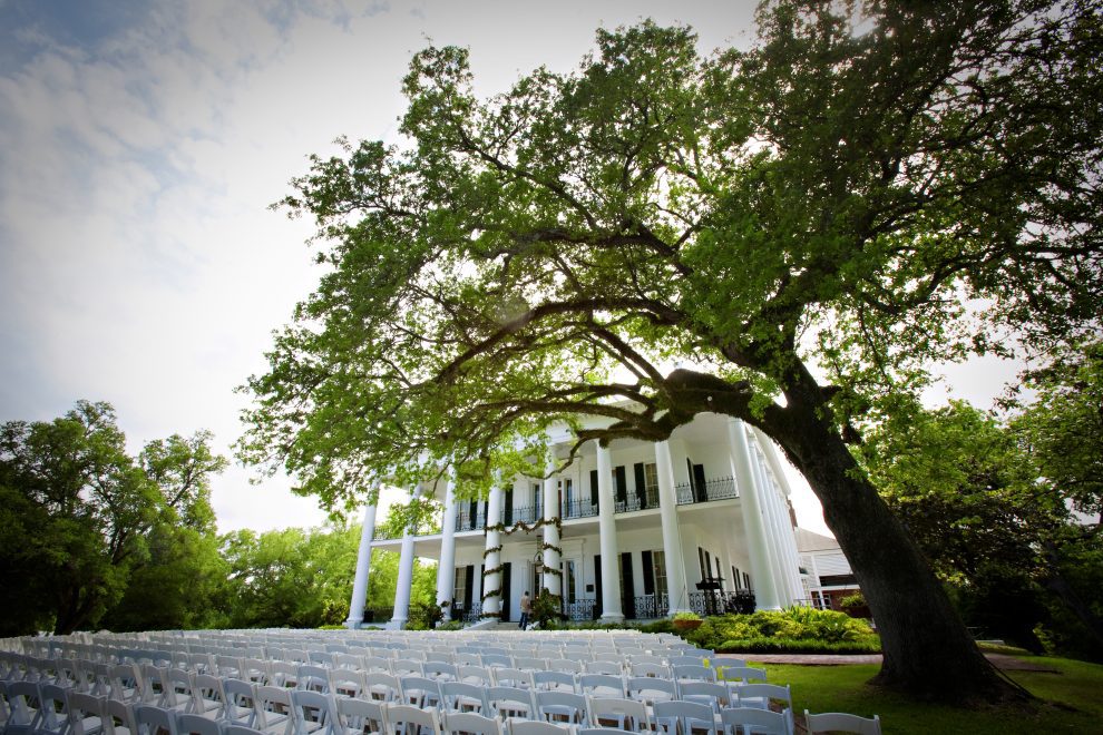 49556509343 c4e404a997 o