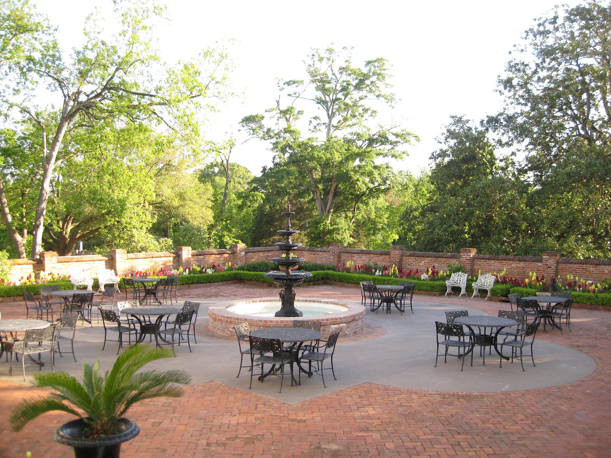 3569260414 217b83a808 k