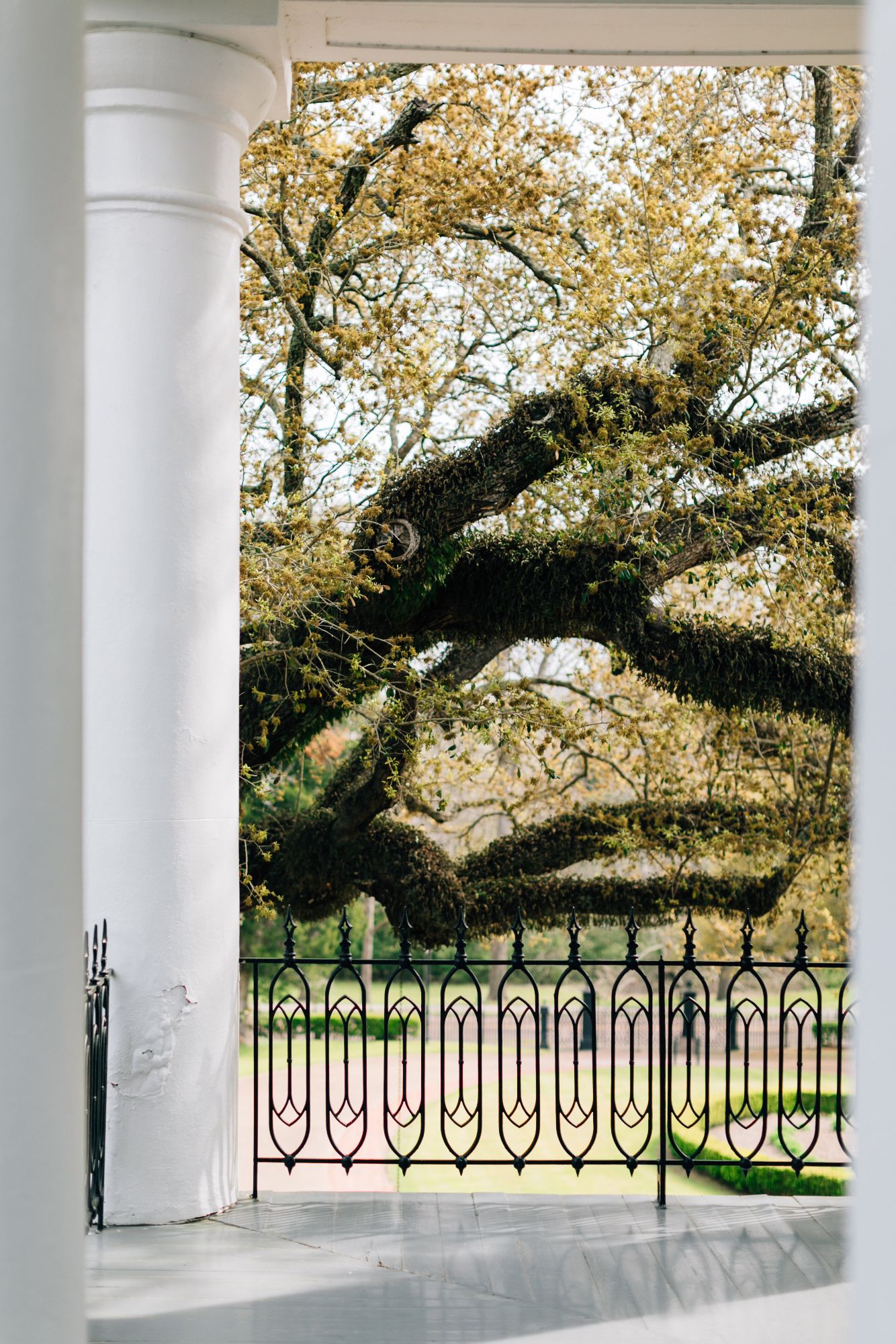 Savannah Chamblee Favorites 0001