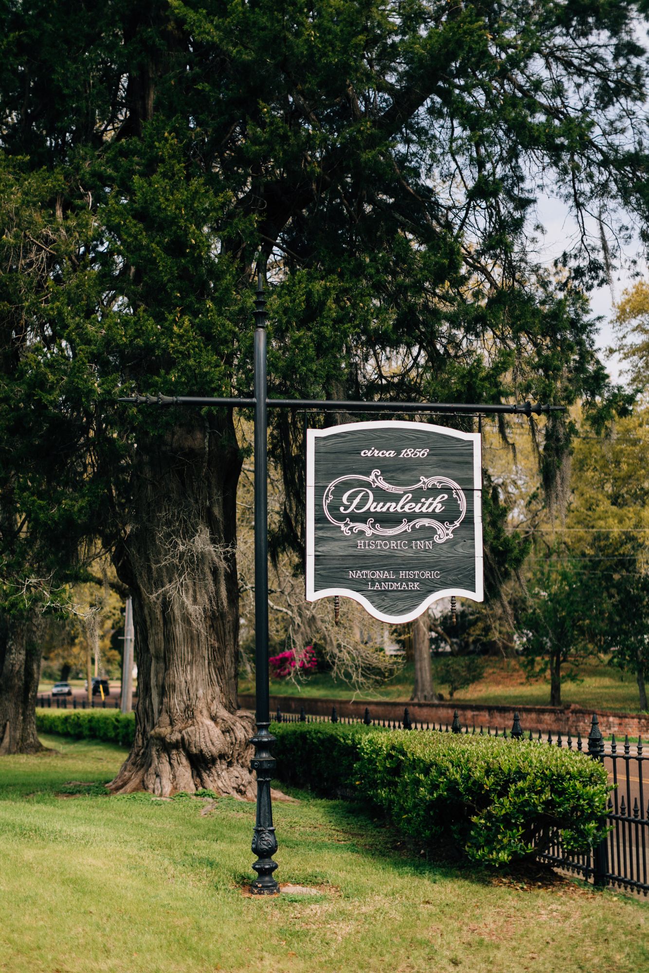 Savannah Chamblee Favorites 0004