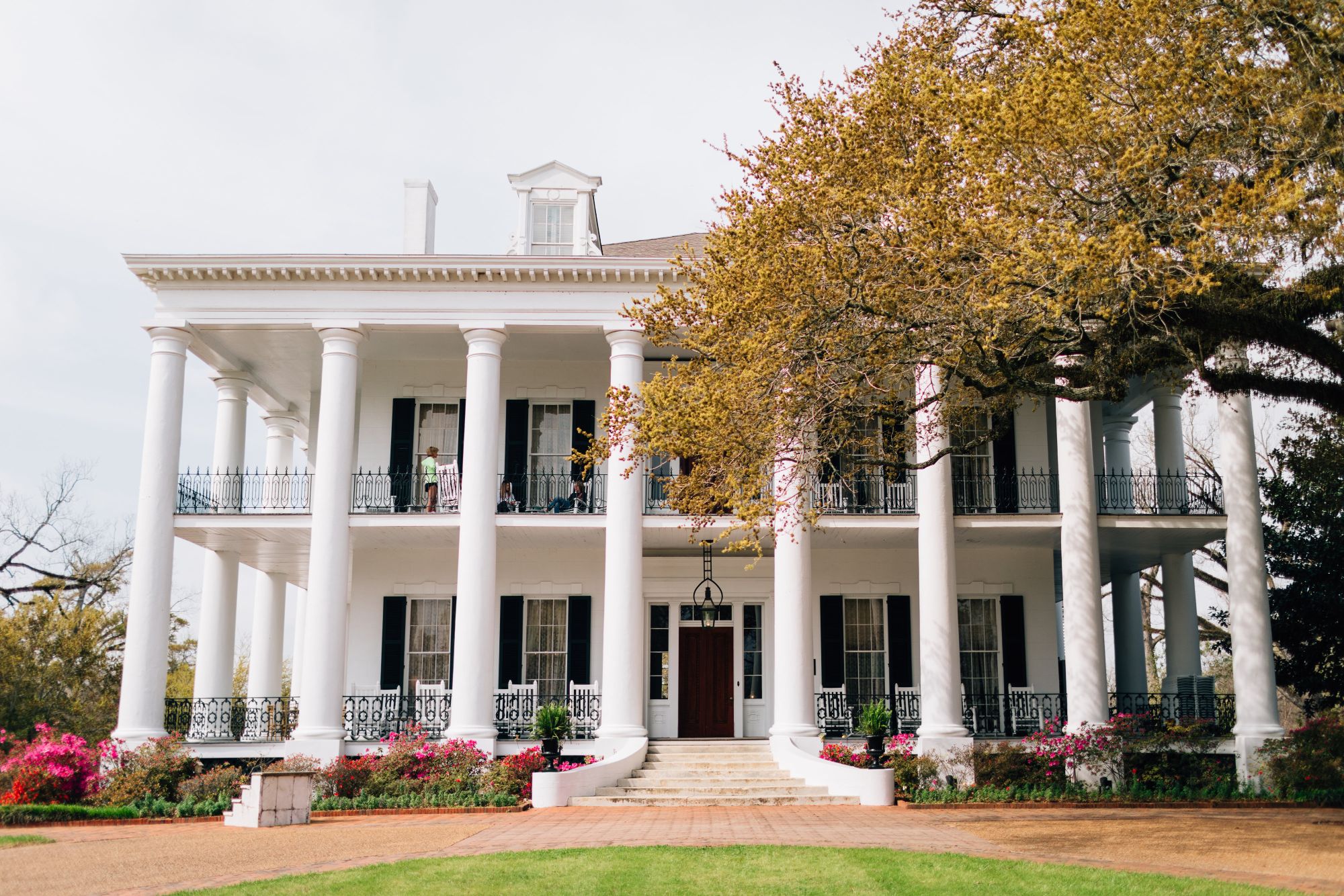 Savannah Chamblee Favorites 0005